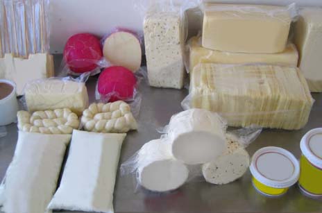 queijos-leite