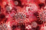 Vacinas e infecção pelo coronavírus podem criar “superimunidade” contra Covid, diz estudo