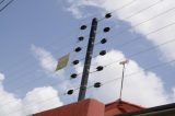 Senado aprova projeto que define normas para instalação de cerca elétrica