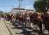 Vaqueiros rejeitam presença de Bolsonaro em Curaçá