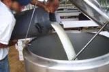 Governo fornecerá cana de açúcar para a bacia leiteira de Bodocó