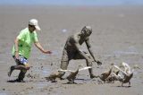 Competidores tentam pegar pato coberto de lama na China