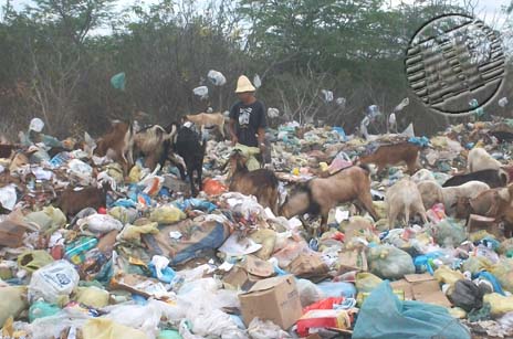 Em Uauá, os animais se alimentam dos restos do lixão