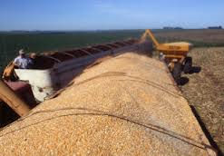 Expectativa de crescimento da safra de 2013 sobe em julho