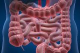 Novo medicamento se mostra eficaz para tratar doenças inflamatórias intestinais