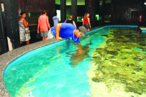 aquario_natal_01