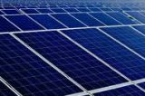 Amma assina licença ambiental de instalação para Usina de Energia Solar
