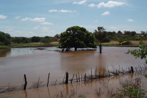 As chuvas em Afrânio (PE) não foram suficientes para contornar problemas causados pela estiagem