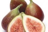 Sobre a palavra: O figo, o fígado e o sicofanta