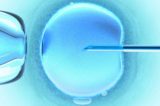 Brasil mantém taxa internacional de fertilização in vitro