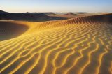 Três grandes rios podem ter passado pelo deserto do Saara