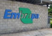 embrapa