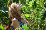 Jamaica oferece tours da maconha com direito à degustação