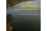 Livro sobre a Caatinga conquista Prêmio Jabuti