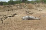 Prefeito de Uauá (BA) lamenta falta de apoio de governos ao combate a seca