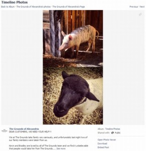 ImageProxy (7)