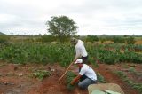 Apesar da seca, produtores rurais recebem orientação de como manter rebanho de caprinos e ovinos