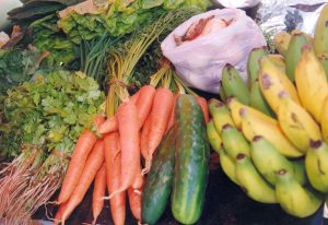 agricultura-familiar-produtosorganicos