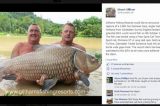 Carpa de 61 quilos é pescada na Tailândia