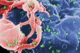 Cientistas criam primeiro mapa de resistência humana ao vírus HIV