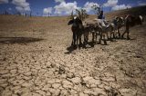 Previsão para o próximo trimestre indica chuvas abaixo do esperado para o Sertão