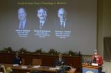 Dois americanos e 1 alemão compartilham Nobel de Medicina 2013