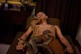 Massagem relaxante com cobras na Indonésia