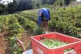 Apenas 30% dos recursos para programa de reforma agrária foram aplicados