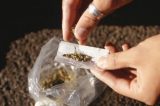 Mais de 1,5 milhão de brasileiros consomem maconha todos os dias