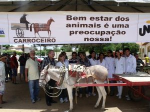 casa nova - projeto carroceiro