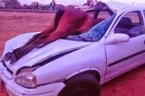Animal vai parar dentro de carro após colisão