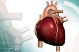 Pesquisa explica como relógio biológico interfere no risco de ataque cardíaco