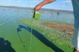 Água contaminada em Sento Sé