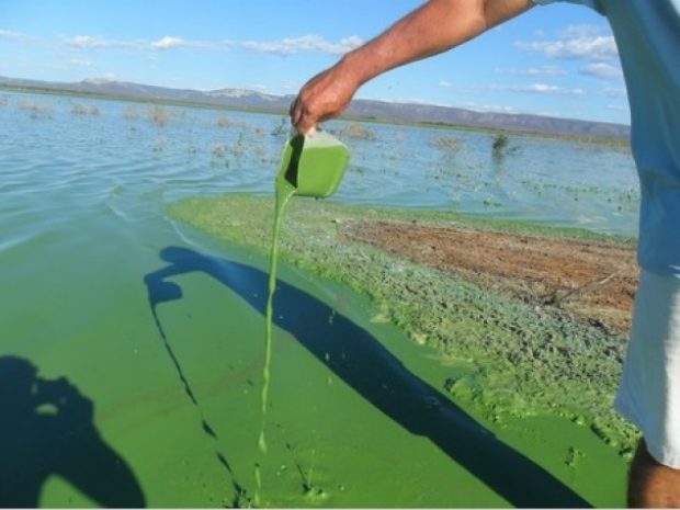 agua de sento se