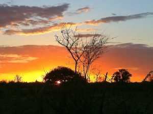 caatinga umbuzeiro por do sol