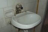 Descaso e abandono na comunidade de Piçarrão em Sento Sé