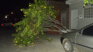 DSCF4937