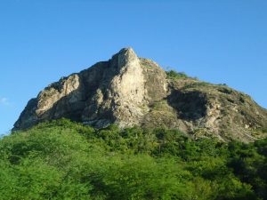 SECA E VERDE