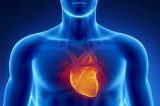 Pressão alta na juventude eleva risco de doença cardíaca mais tarde