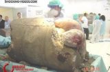 Filha mata e concreta mãe com a ajuda do namorado