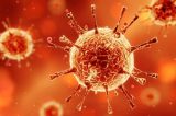 Vacina brasileira anti-HIV é testada com sucesso em macacos