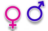 Funcionária processa empresa por ser chamada de mulher