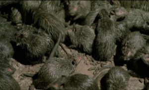 ratos-II