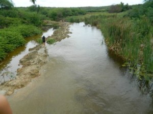 salitre rio cheio