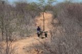 Seca se alastra em Pernambuco