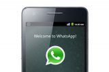 Oi entra com Habeas Corpus para tentar suspender bloqueio ao WhatsApp