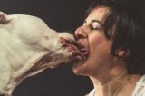 Amor com cães