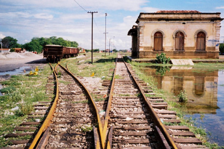 juazeiro