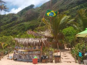 biblioteca-praia