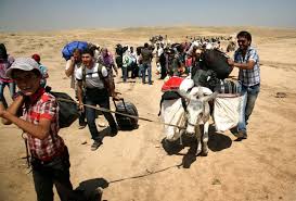 refugiados sírios